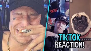 Monte guckt LIVE TIKTOKS!  Reaktion auf TikTok Clips | MontanaBlack Reaktion