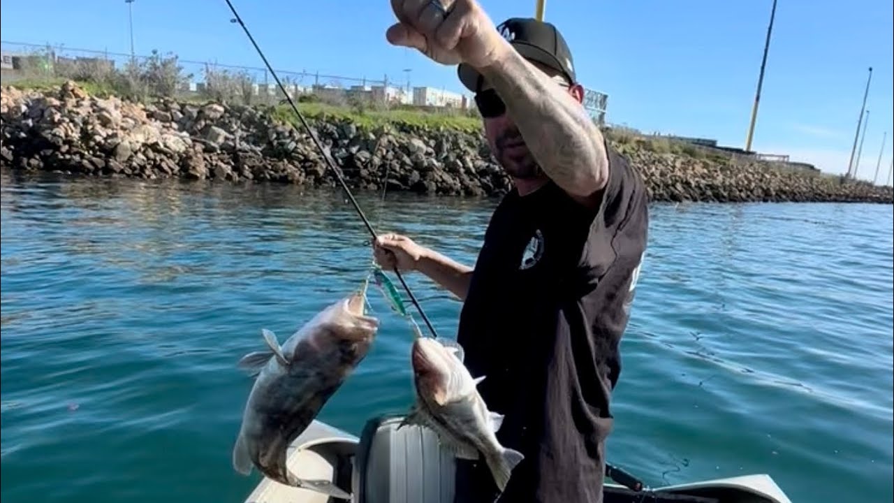 Fishing session double sand bass and big white fish!🤩
