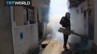 Sri Lanka Dengue Outbreak: Government steps up efforts to eradicate virus
