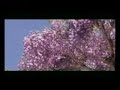 こころの歌(唄)