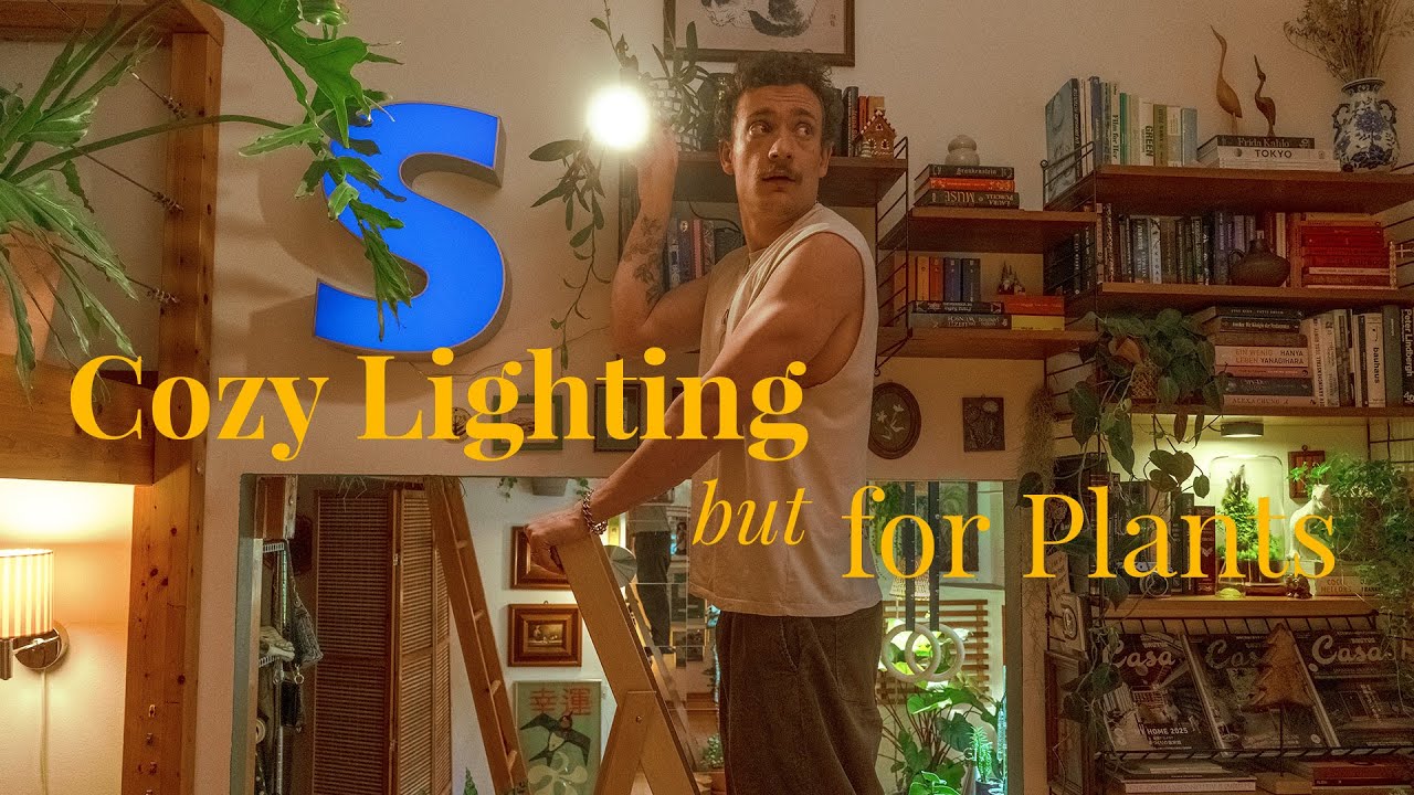 Фитосветильники, которые украсят ваш дом (никакого эффекта гроутента!)