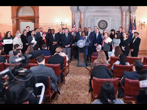 New York State Senate Majority Press Conference on Voting Reform - 01/09/20