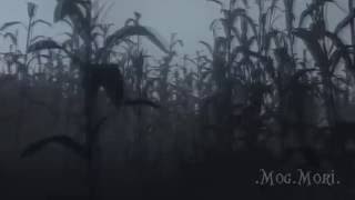 Playdead's Inside - Where is the freedom of thought?