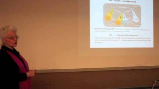 Play video: Innovaxiom - Categories and physics 2011 - Andrée Ehresmann