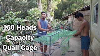 Quail Farming | Quail Cage para sa 150 Heads RTL
