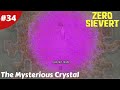 Mysterious swamp crystal  friendly fire  zero sievert  34  gameplay