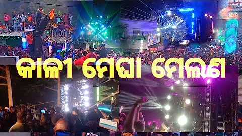 Video 2151691: bengal tiger, bengal mix, bengal sound