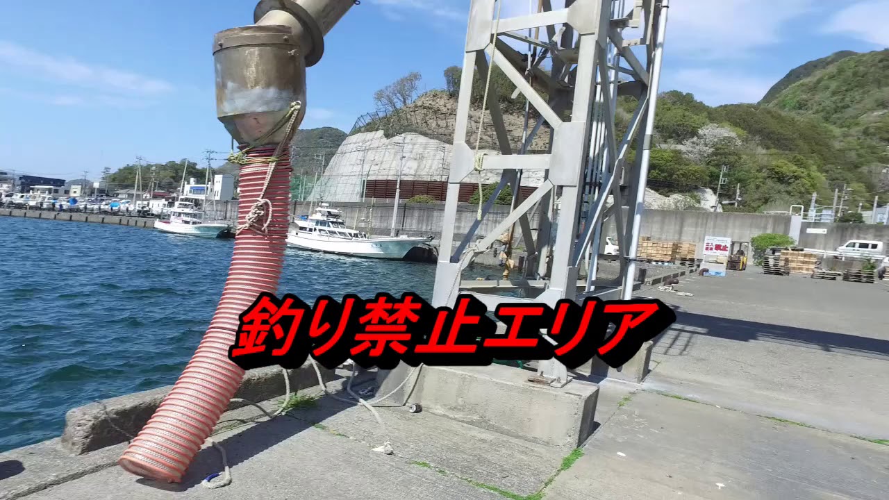 静浦港はどうだら 釣りができる場所やトイレの場所を紹介 Youtube