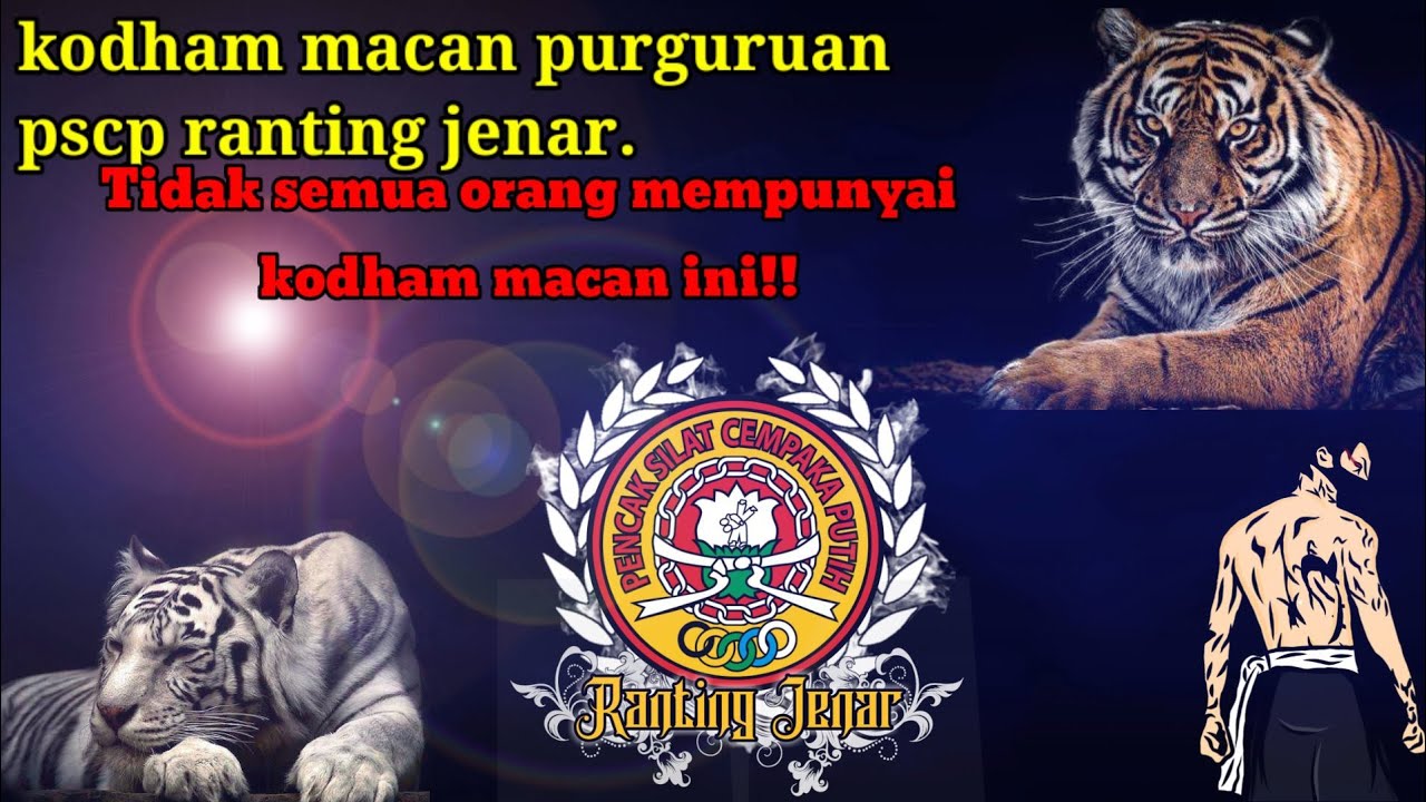 🔴macanan terbaru 2022||perguruan pscp ranting jenar.