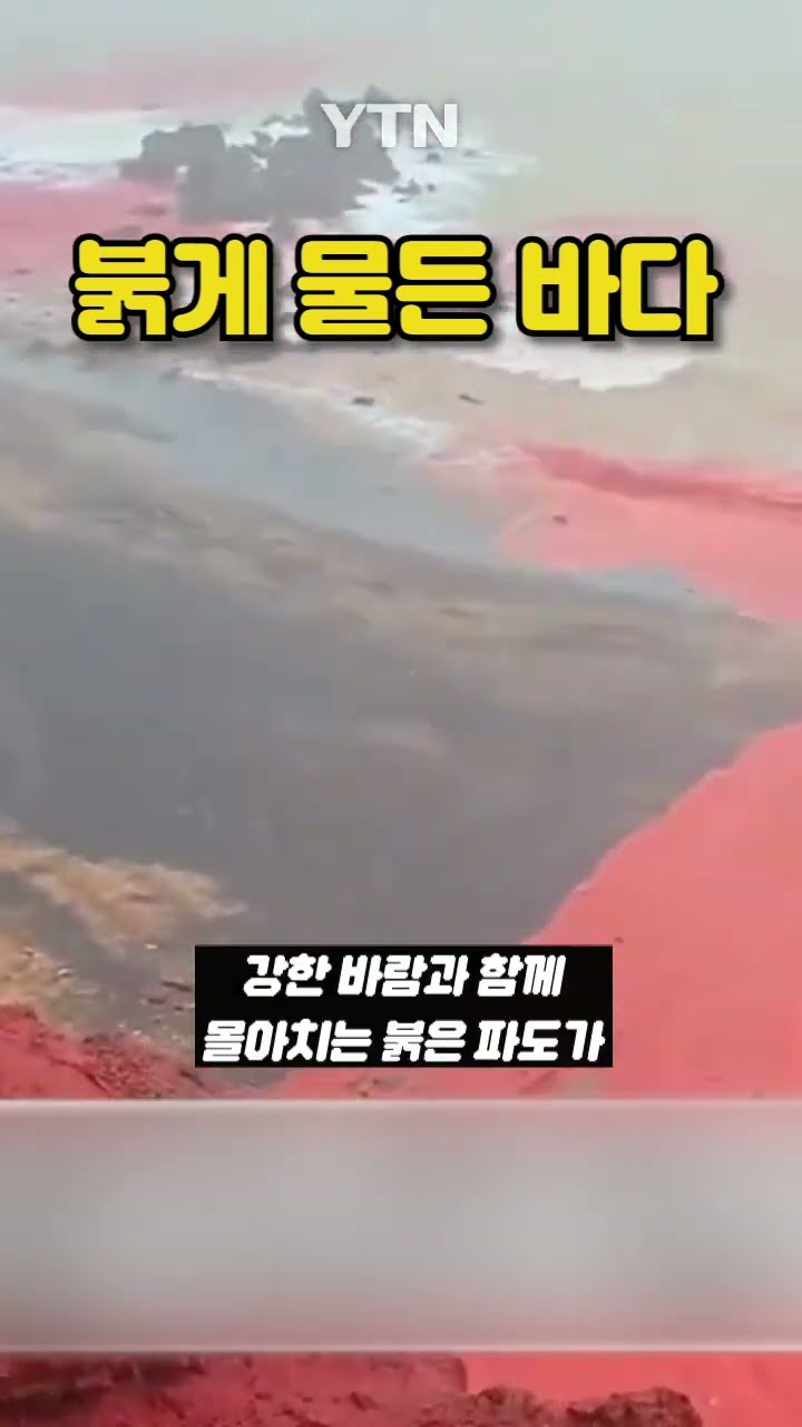 이란의 ‘블러드 비치’ #shorts / YTN