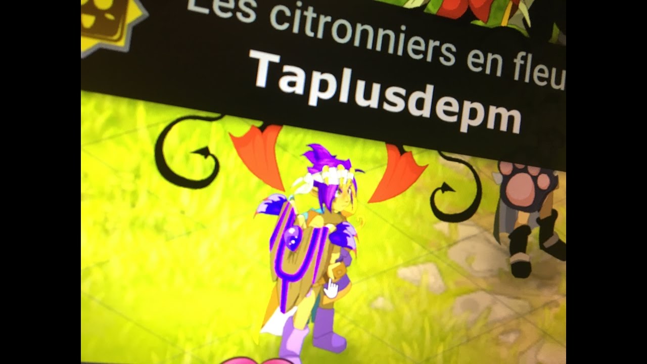 DOFUS : présentation stuff cra lvl 80 pvp eau .