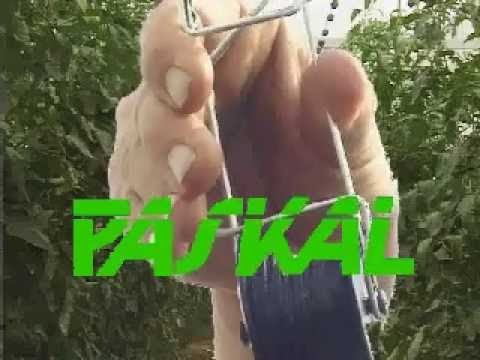 Rollerhook - trellising has never been so simple