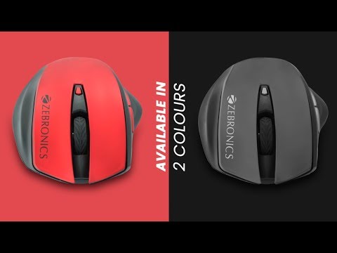 zebronics whale