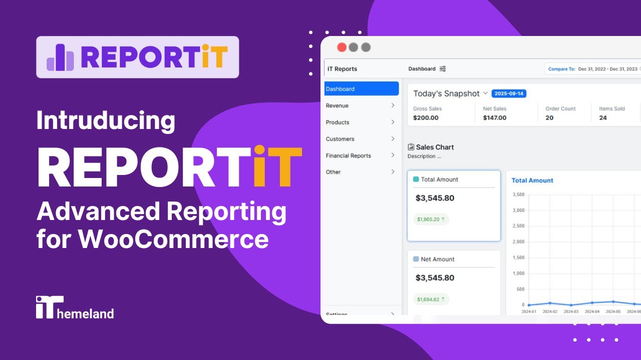 Analyze WooCommerce Sales Like a Pro | Advanced Reporting Plugin - YouTube