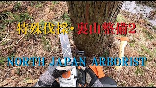 483.特殊伐採・裏山整備2 - YouTube