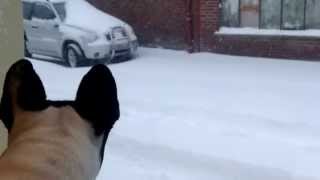 Hiver 2013 Saint Hilaire Lez Cambrai