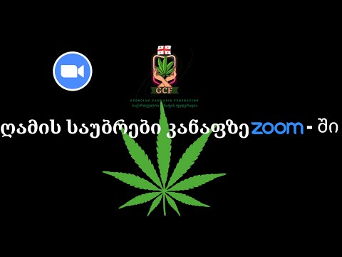 ღამის საუბრები კანაფზე Zoom - ში! VOL 3.0