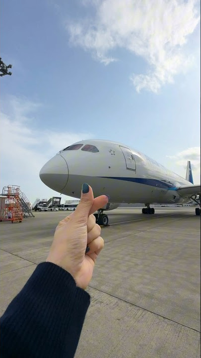 Go see the real thing, not a model…🫰🪄✈️#allnipponairways #ANA #nailart #run #chill #chillmusic