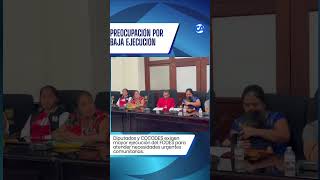 Diputados y líderes de los Consejos Comunitarios de Desarrollo (COCODES)