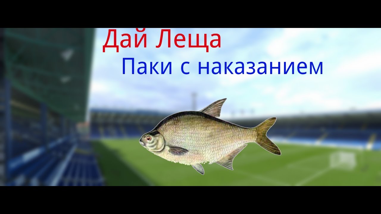 Дать леща. Дать леща лещом. Лещ паку. Дать леща это как. Киркоров дал леща