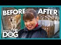 Victoria Gives Struggling Dog Shelter a $250k Makeover! | It's Me or The Dog