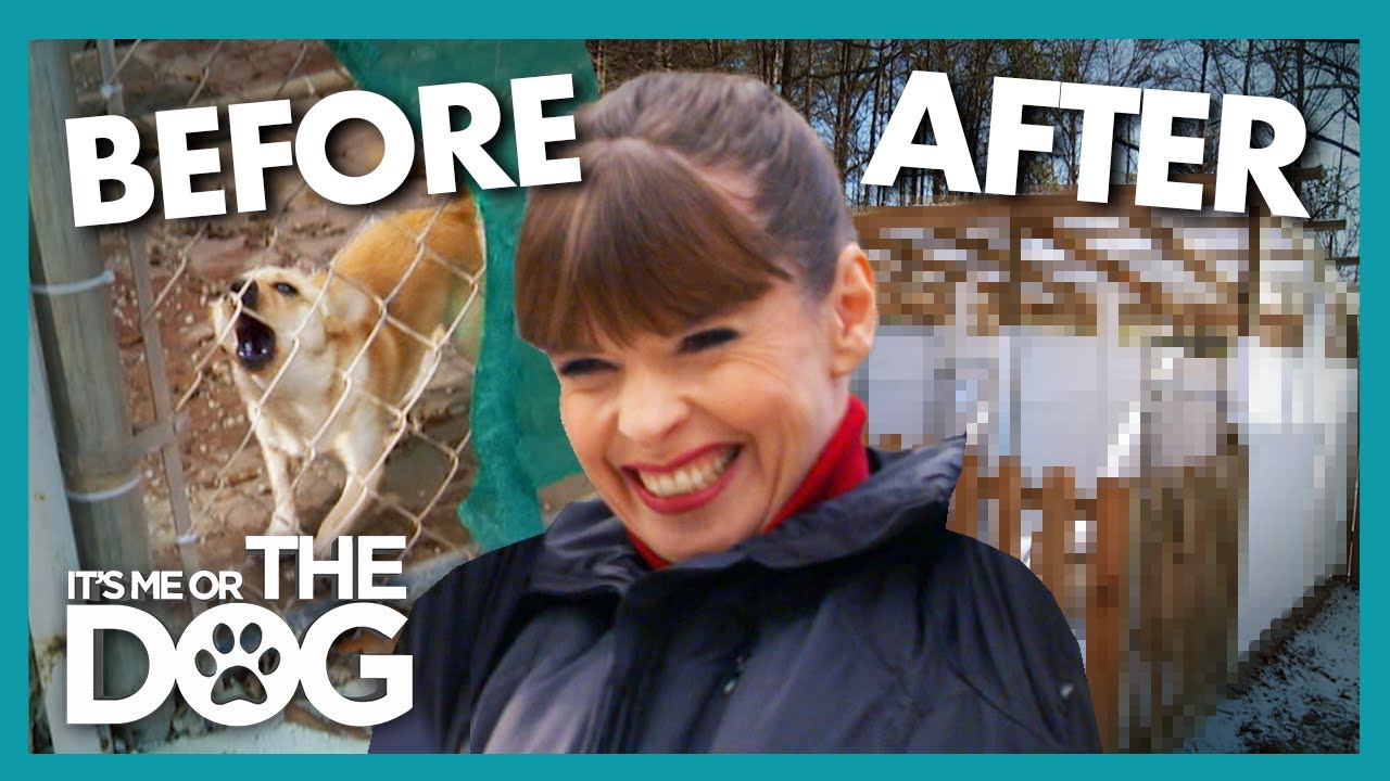 Victoria Gives Struggling Dog Shelter a $250k Makeover! | It's Me or The Dog