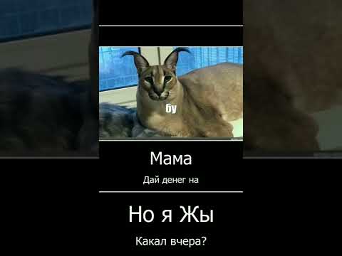 Шлепа покакал #шлепа #мемышлепа #шлёпанцы - YouTube