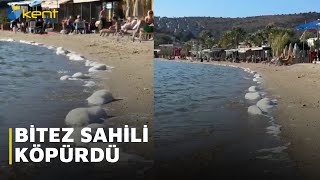 Bi̇tez Sahi̇li̇ Köpürdü