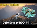 T9 Horse Attempts & 5 Stage Lakiaro | Daily Dose of BDO #11