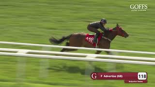 Goffs UK - Breeze Up 2023 - Lot 118