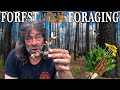 Foraging Wild Edible Buffet in Fire Scorched Forest | PLUS Bear Rescue and a Chance to Meet Greg!