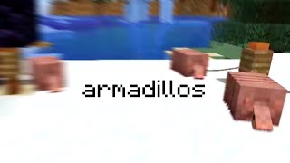 We've got Armadillos in Minecraft