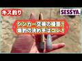 【キス釣り】シンカー交換の極意！爆釣の決め手はコレ！