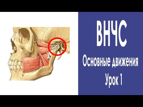 The mandibular joint. Relieve tension. Lesson 1. - YouTube