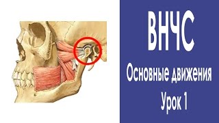 видео Миоартропатия