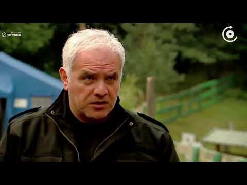 რა ვითარებაა აბასთუმანში - ხანძარის ლიკვიდაციის პროცესში 1000-მდე ადამიანია ჩართული