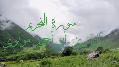 سورة التحريم مكتوبة - القارئ أبو أحمد مولوي - تلاوة هادئة ومجودة