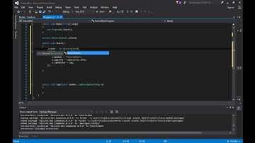 Discord Bot Coding: Setting Up (This Tutorial is in C#)