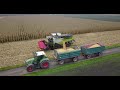 Maisernte 2020 / Claas Lexion 770 / Fendt 724