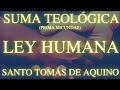 Santo Tomás de Aquino - Suma Teológica (Prima secundae: cuestión 95; Ley humana)