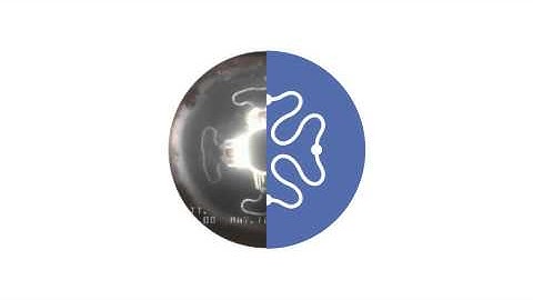 MonkeyImplant Movie 2s