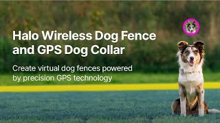 Halo Collar 3 - GPS# Dog# Fence - Multifunction #Wireless Dog Fence & Training Collar with Real