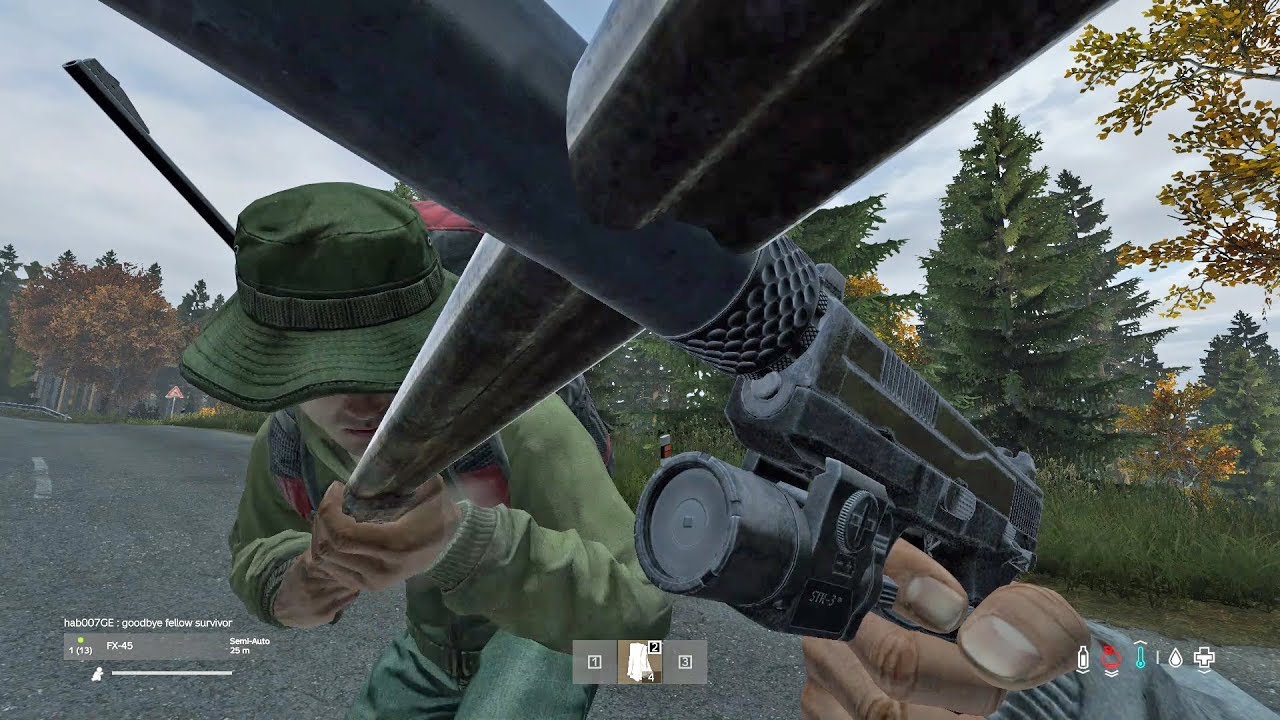 DayZ Spawning In Front of a Random YouTube