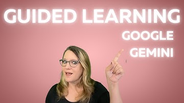 Google Gemini Begeleide Leertool