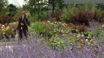 EMBL-EBI on the Wellcome Genome Campus