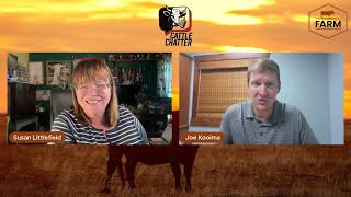 Cattle Searching for Stability | 7/23/26 Cattle Chatter
