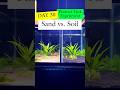 Sand vs. Soil in Aquariums: Surprising Growth Results!