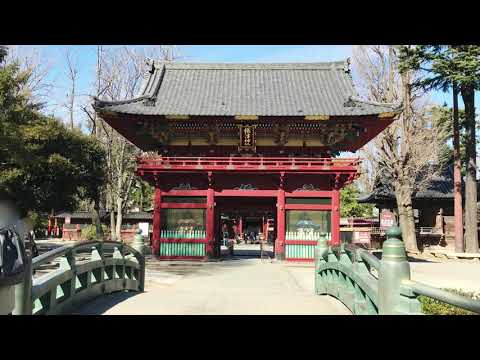 旅探 たびたん 根津神社の投稿動画 根津神社
