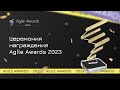 Церемония награждения премии Agile Awards