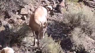 Somewhere in Northern New Mexico